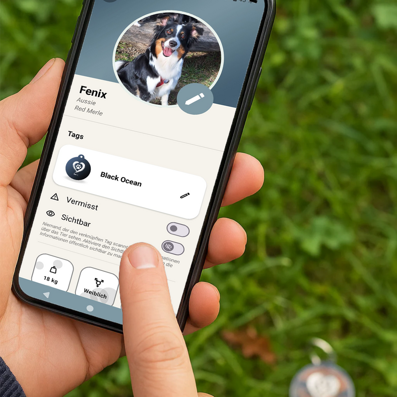 Deaktivieren bei Verlust