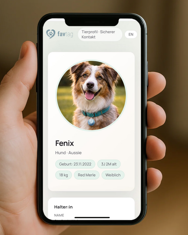 Kontaktinformationen bekommen