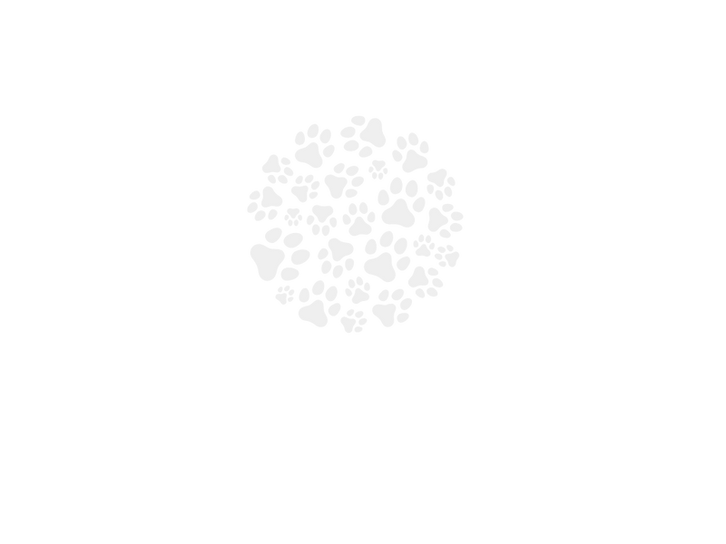 Decorative paw prints